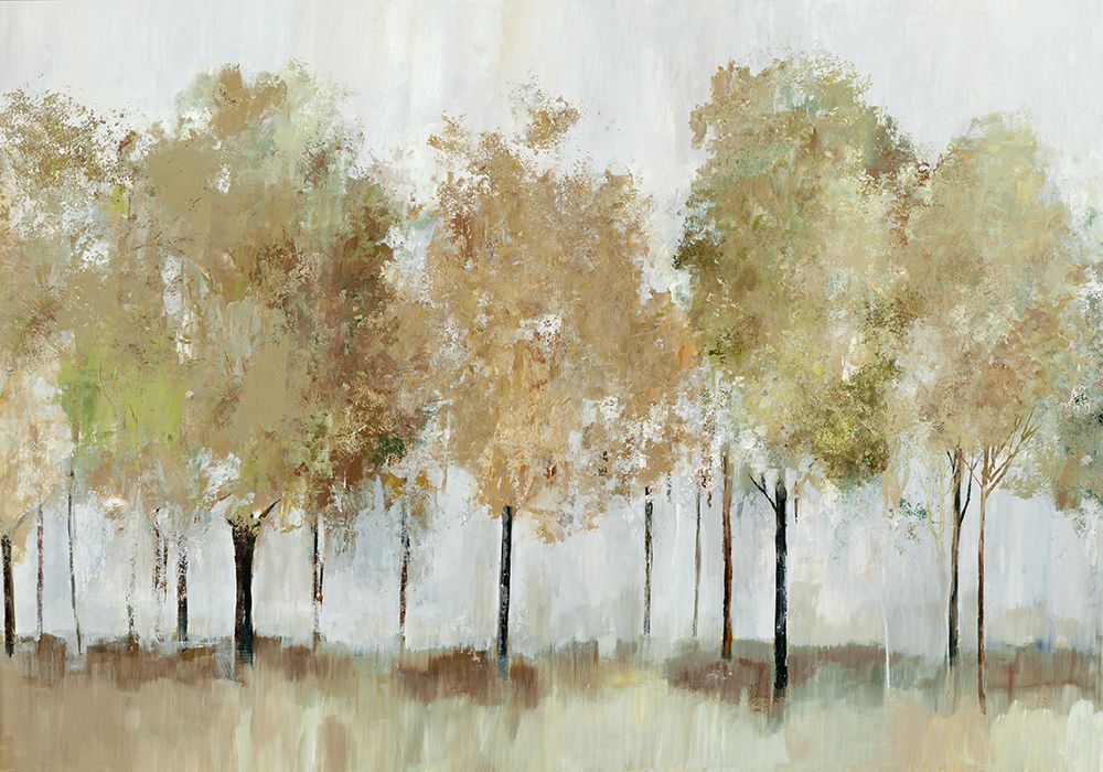 Floresta Ensolarada Árvores — Pearce, Allison