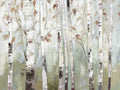 Bétula Branca Floresta — Pearce, Allison