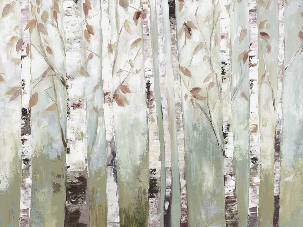 Bétula Branca Floresta — Pearce, Allison