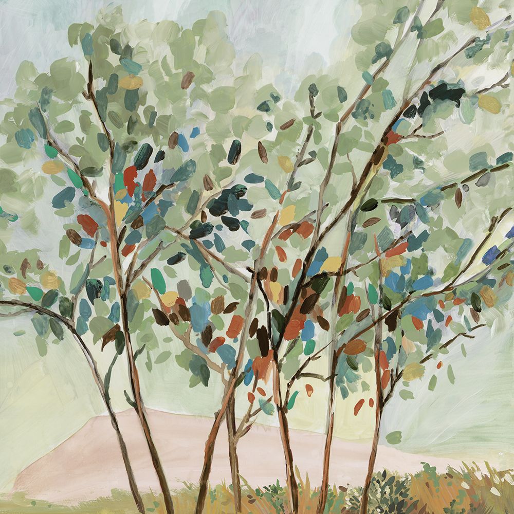 Outono Colorido — Pearce, Allison
