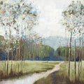 Caminho da Campina — PI Studio