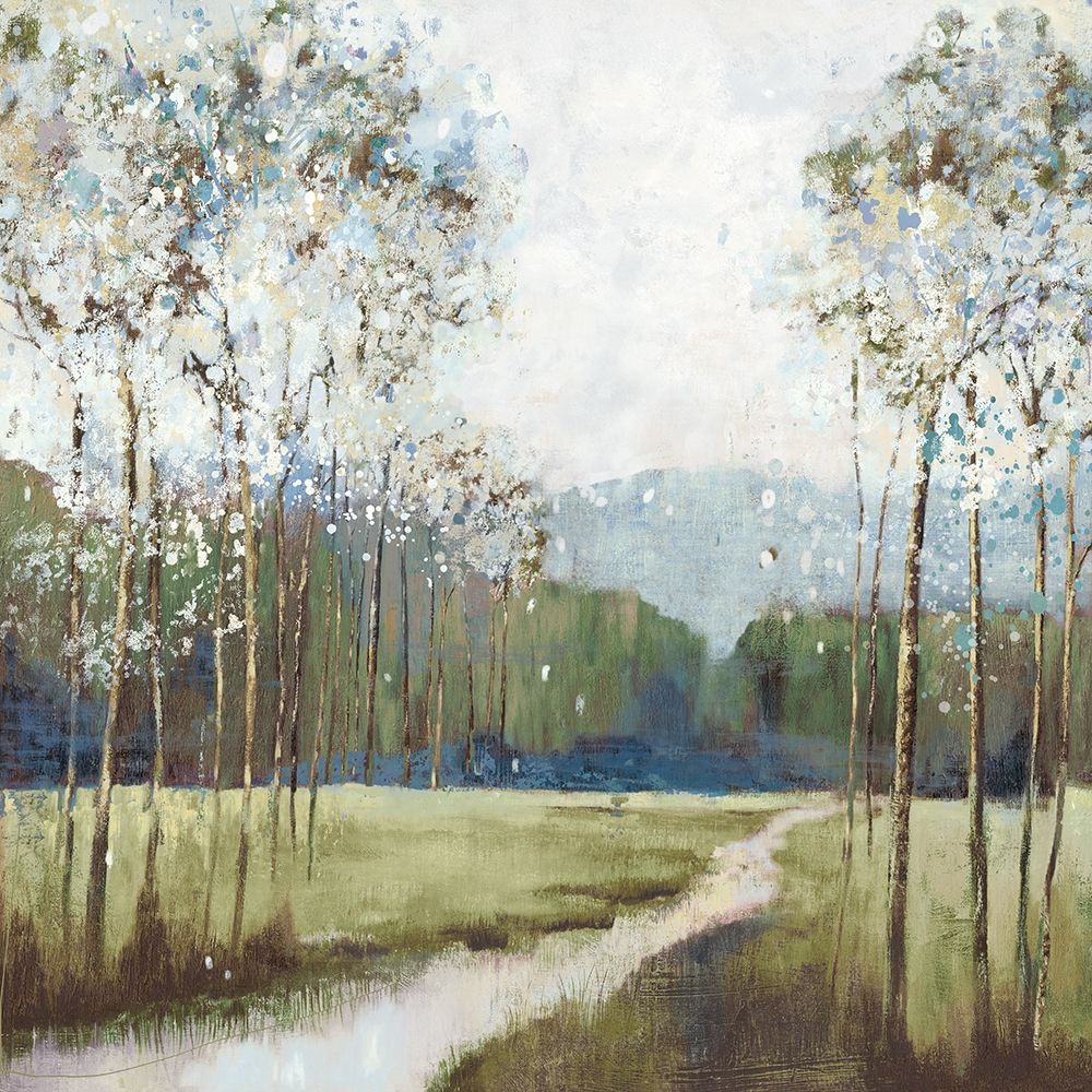Caminho da Campina — PI Studio