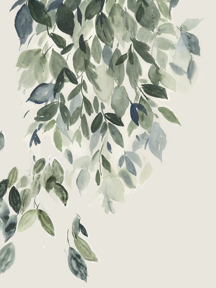 Folhas de Bétula na Primavera — PI Studio