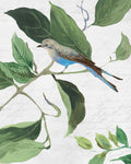 Pássaro de Primavera I — PI Studio