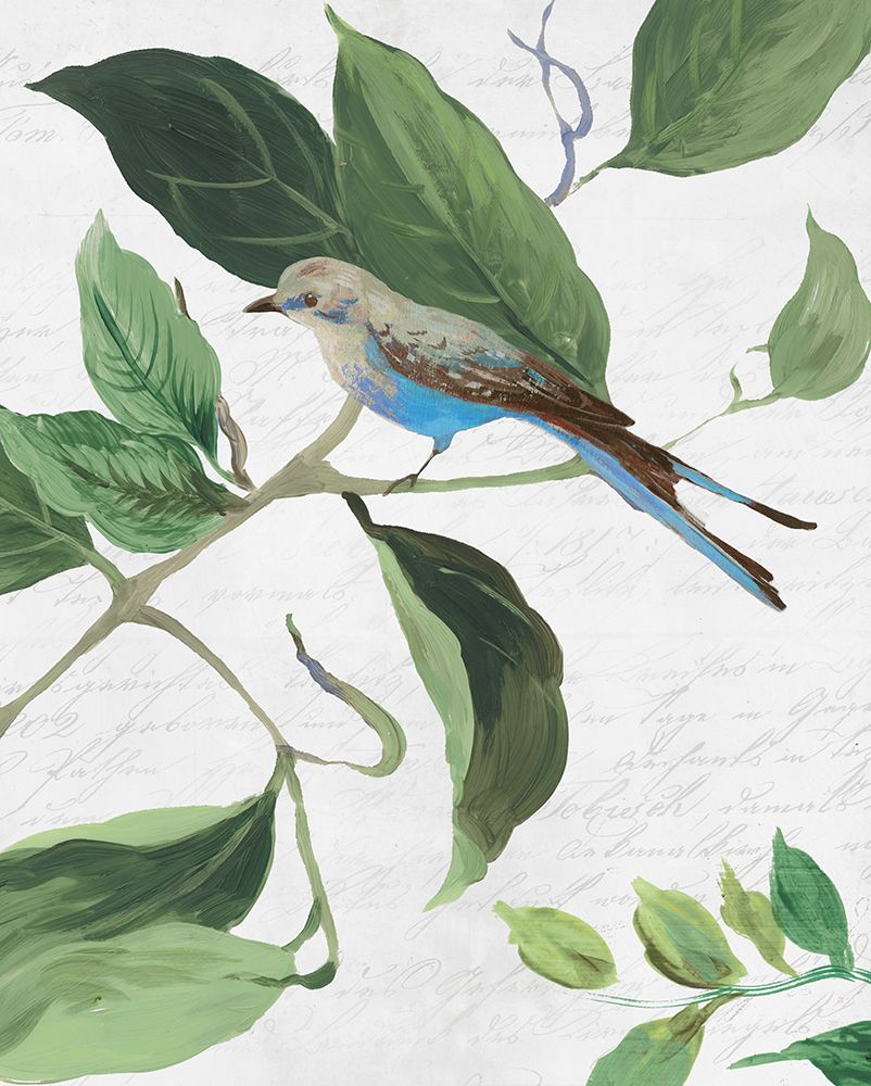 Pássaro de Primavera I — PI Studio