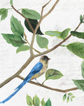 Pássaro de Primavera II — PI Studio