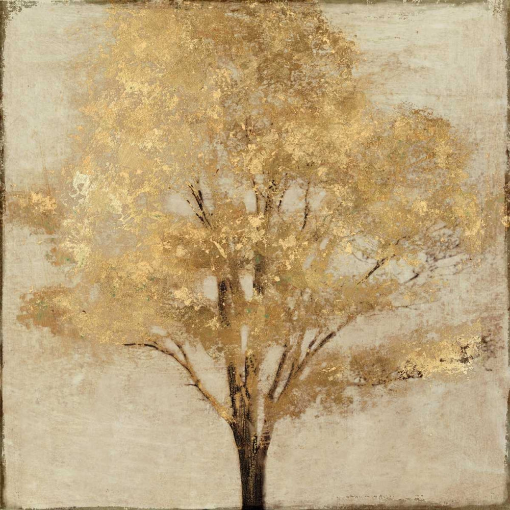 Ouro e Terra de Sombra — Theodosiu, Matina