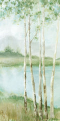 Encanto do Bosque de Bétulas I — Mavis, Luna