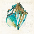 Concha 1 — Wilson, Aimee