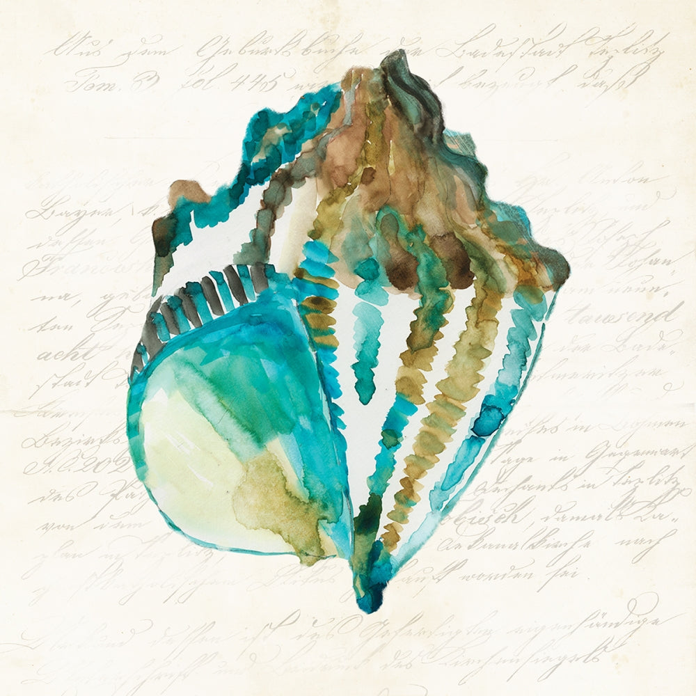 Concha 1 — Wilson, Aimee