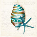 Coral Azul I — Wilson, Aimee