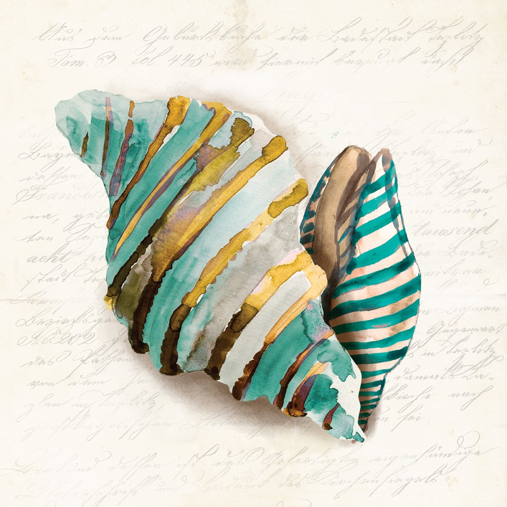 Coral Azul II — Wilson, Aimee