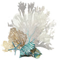 Coral 1 — Wilson, Aimee