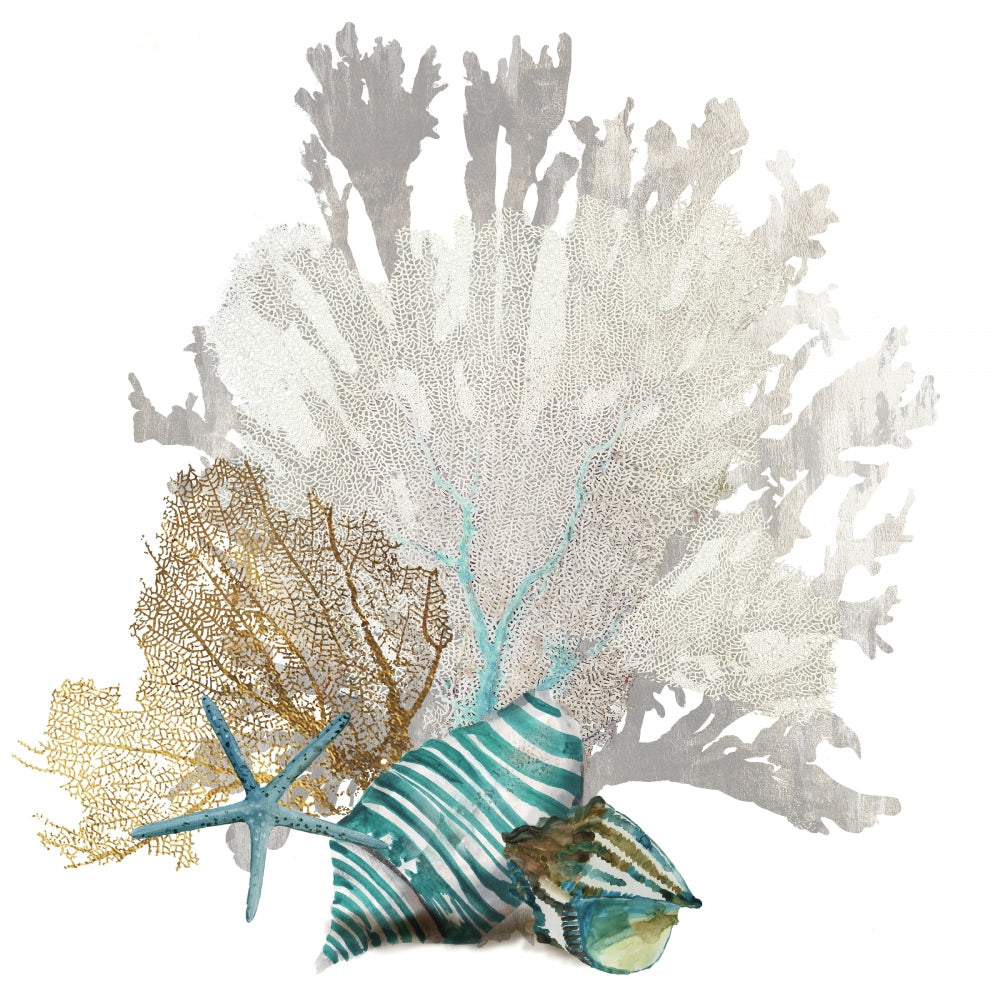 Coral 1 — Wilson, Aimee