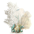 Coral II — Wilson, Aimee