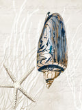 Série Conchas Azuis I — Wilson, Aimee