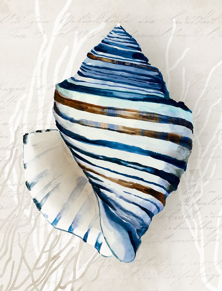 Série Conchas Azuis III — Wilson, Aimee