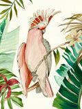 Ave Tropical I — Wilson, Aimee