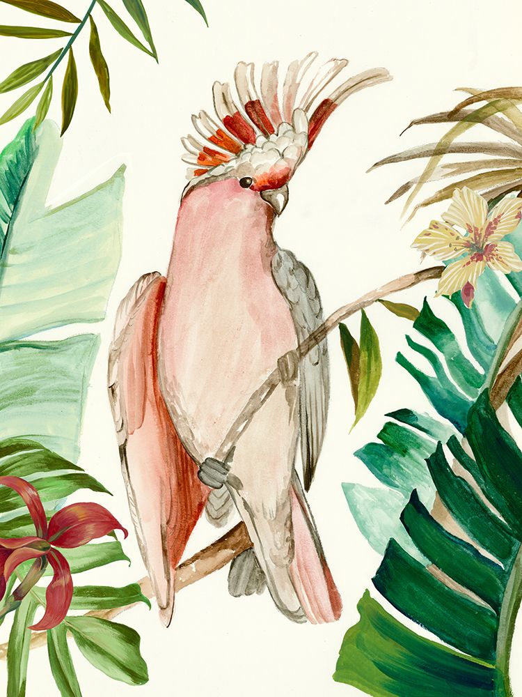 Ave Tropical I — Wilson, Aimee
