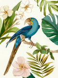 Ave Tropical II — Wilson, Aimee