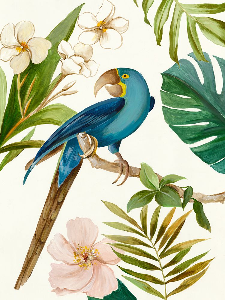 Ave Tropical II — Wilson, Aimee