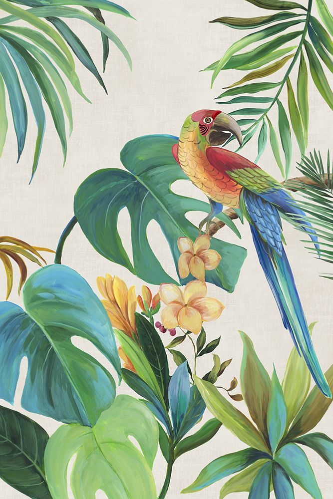 Papagaio Tropical II — Wilson, Aimee