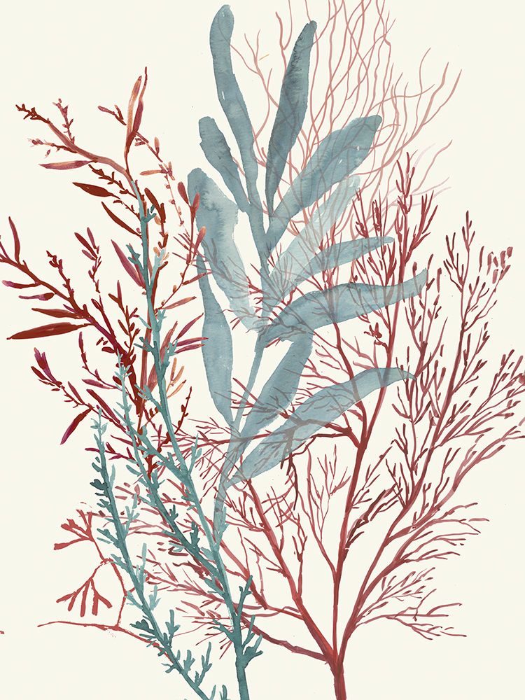 Espirais de Algas II — Wilson, Aimee