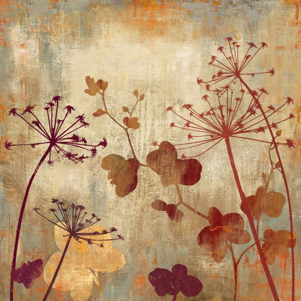 Campo Selvagem I — Wilson, Aimee
