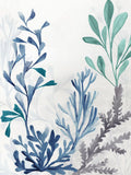 Mar Profundo I — Dawson, Hannah