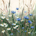 Campina de Flores Silvestres em Flor — Dawson, Hannah