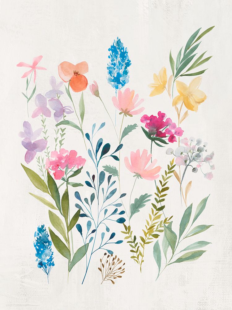 Flores da Primavera Gentil II — Dawson, Hannah