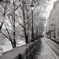 Paris 23 — Blaustein, Alan