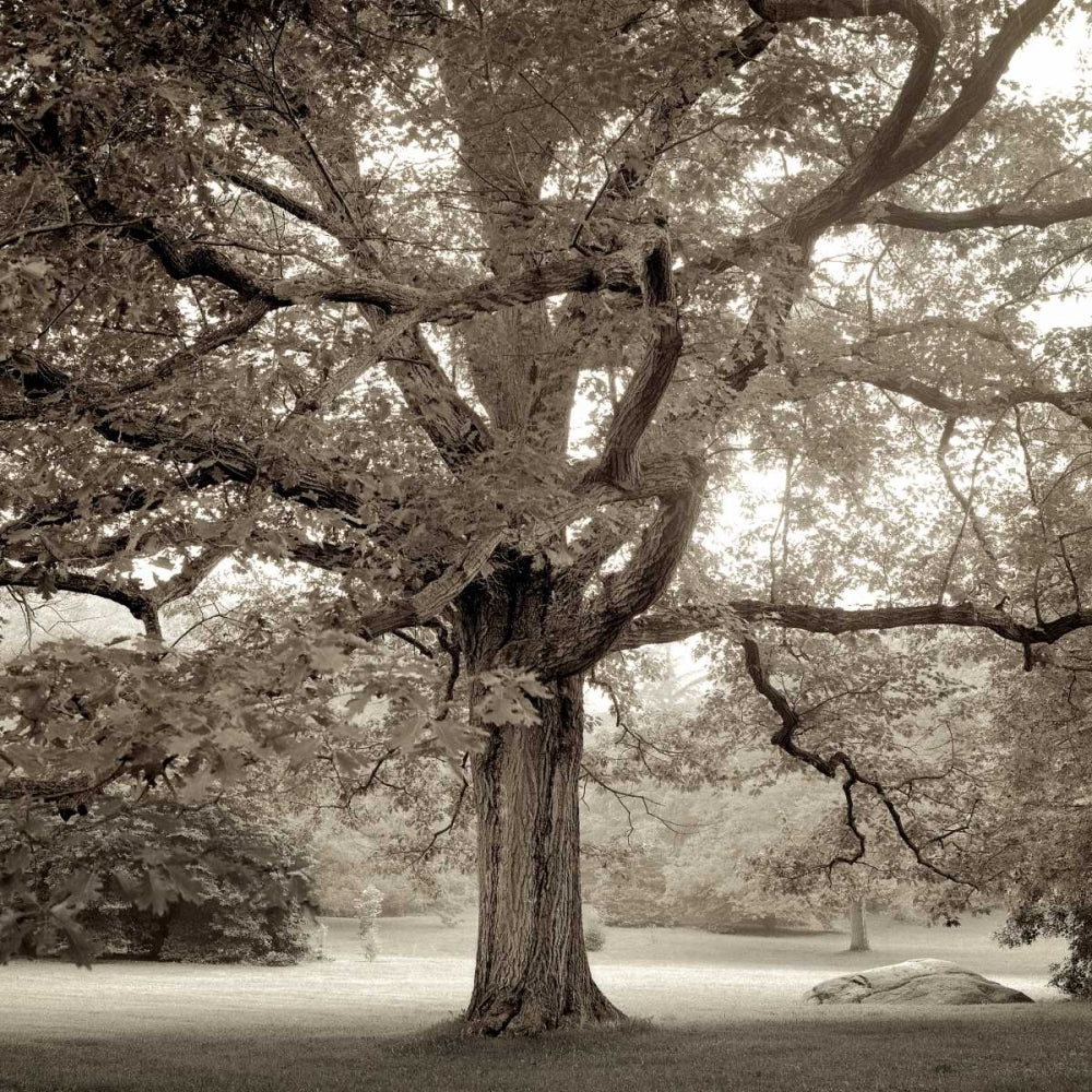 Bordo de Hampton 1 — Blaustein, Alan