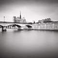 Notre Dame I — Dragt, Wilco