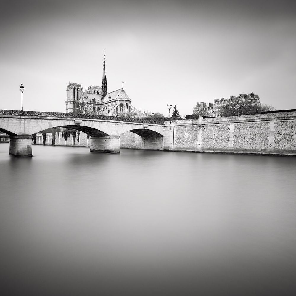 Notre Dame I — Dragt, Wilco