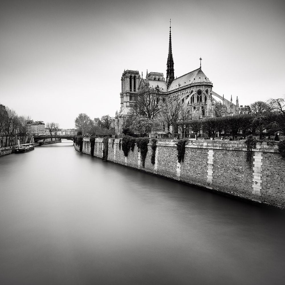 Notre Dame II — Dragt, Wilco