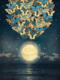 Lua Ascendente — Flores, Paula Belle
