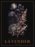 Lavanda 3 — Giampietro, Christopher