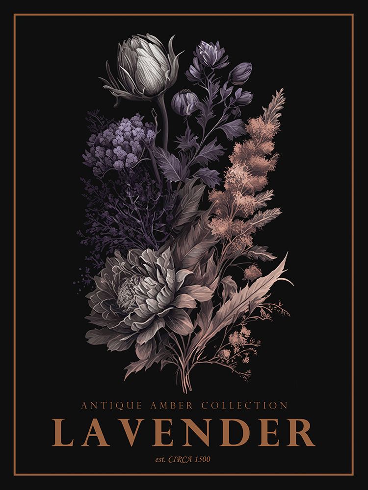 Lavanda 3 — Giampietro, Christopher