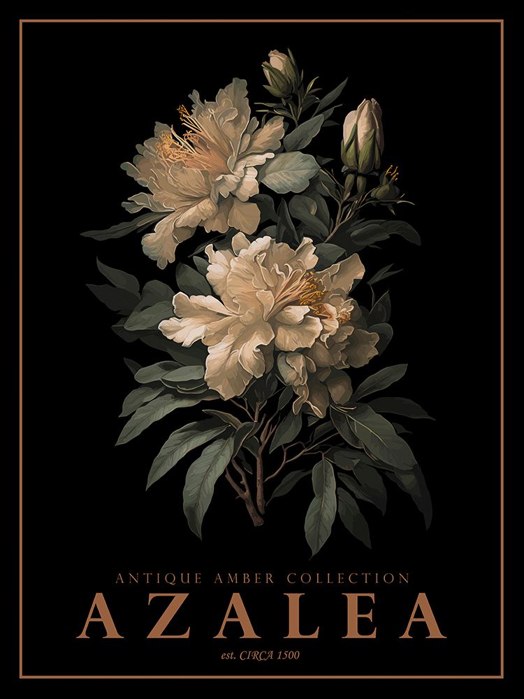 Azaleia — Giampietro, Christopher