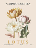 Lótus — Giampietro, Christopher