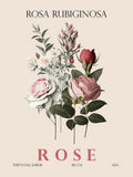 Rosa — Giampietro, Christopher