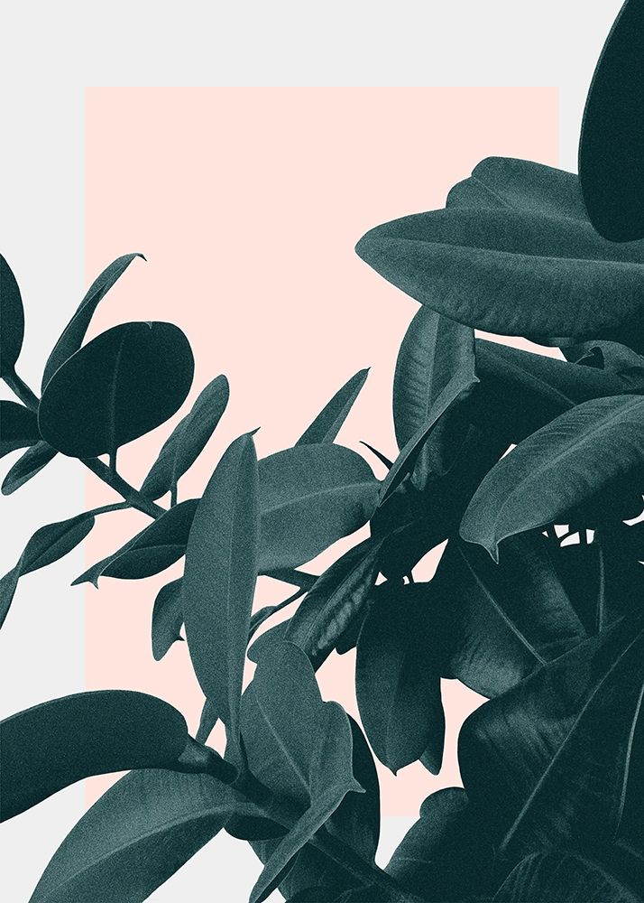 Imagine — Kastl-Lungberg, Hanna