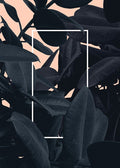 Propósito — Kastl-Lungberg, Hanna