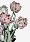Tulipas Vivo — Design Fabrikken
