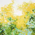 Deslumbramento — Schmitz, Cameron