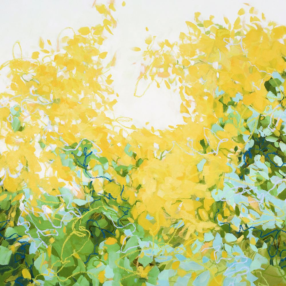 Deslumbramento — Schmitz, Cameron