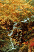 Cachoeira Escondida — Van de Goor, Lars