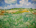 Plain near Auvers, 1890 — Van Gogh, Vincent