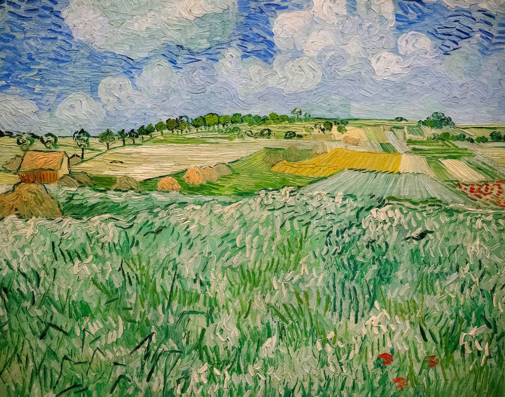 Plain near Auvers, 1890 — Van Gogh, Vincent